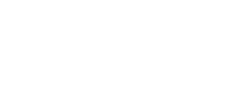 木々の隙間から陽光さしこむイングリッシュガーデン